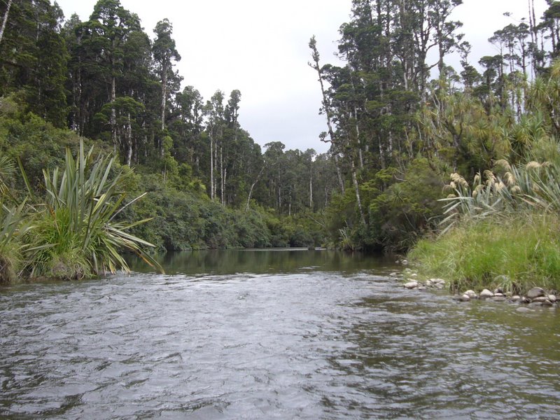 Travel - New Zealand - West Coast - Okarito
